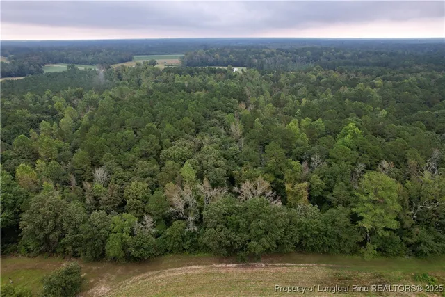 view of a lots of trees and bushes