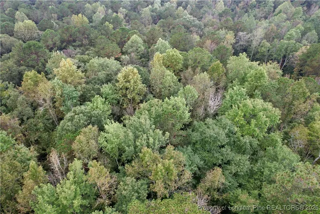 a view of a lake with green space
