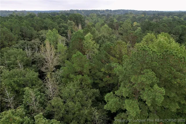 a view of a valley with a mountain in the background