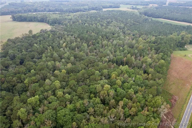 an aerial view of residential house with outdoor space and trees all around