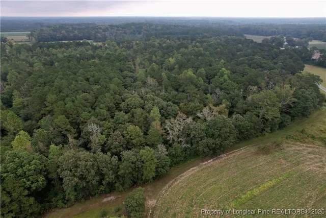 a view of a green field with lots of bushes