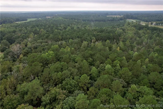 a view of a lush green forest with trees and houses