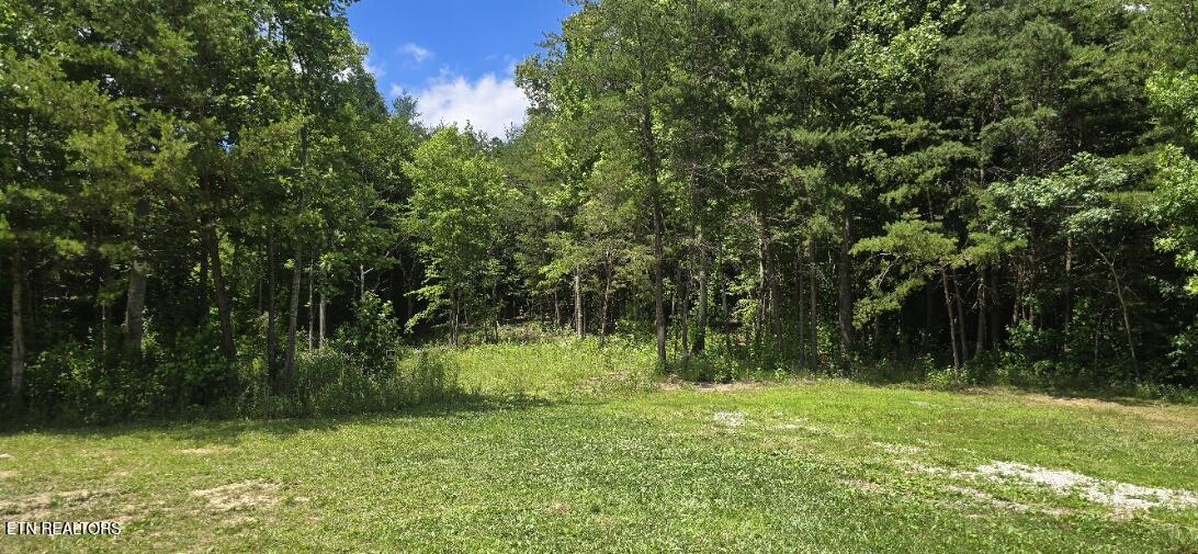 925 Anderson Hollow Road Huntsville, TN 37756 - Photo 2 of 9 20260615_145923