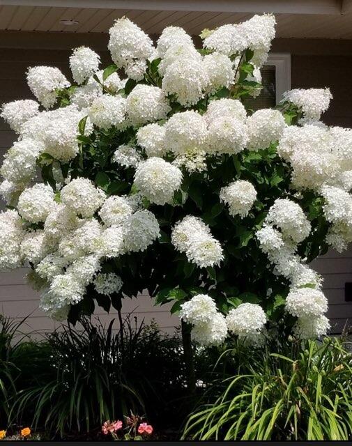 2224 Markham Street Manitowoc, WI 54220 - Photo 5 of 45 620792930