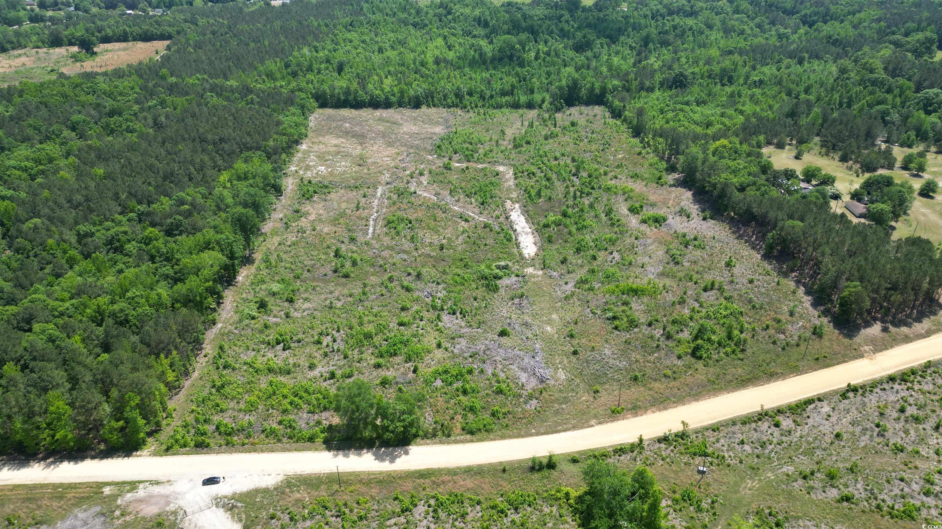 Tbd Bully Road Chesterfield, SC 29709 - Photo 1 of 12 Drone / aerial view featuring a wooded view