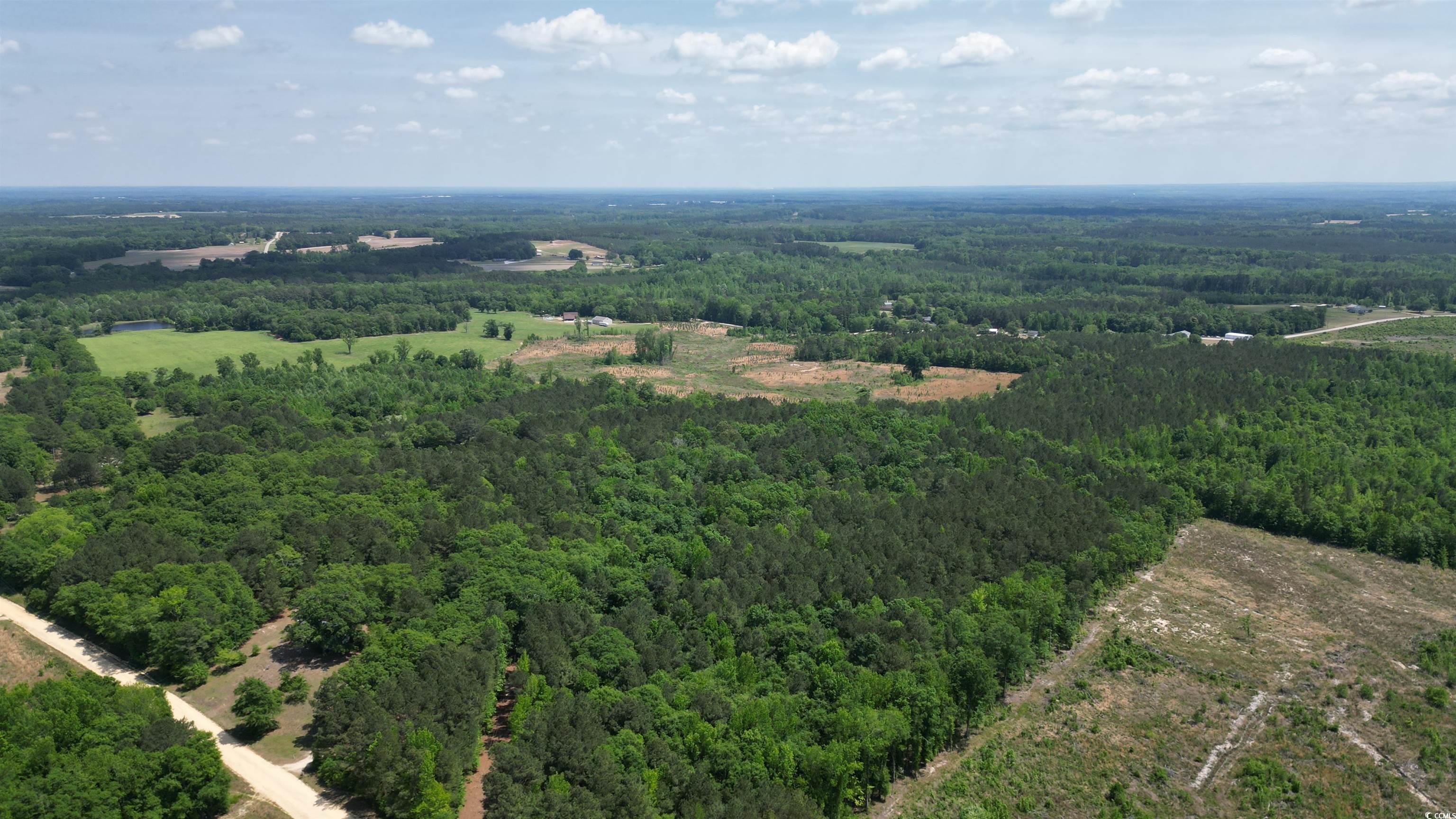 Tbd Bully Road Chesterfield, SC 29709 - Photo 11 of 12 Aerial view with a forest view