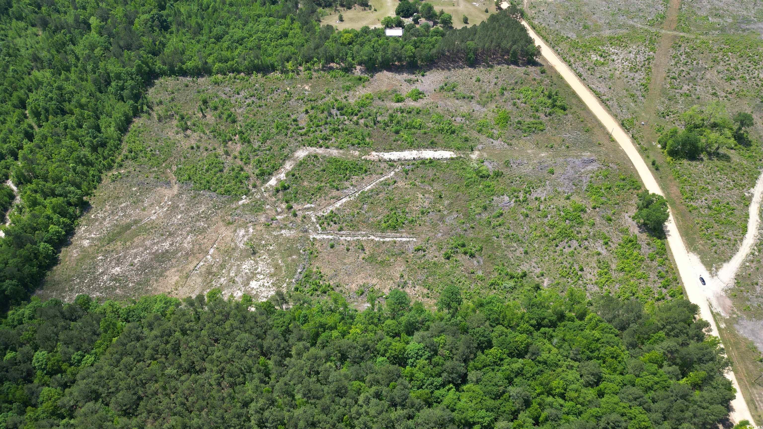 Tbd Bully Road Chesterfield, SC 29709 - Photo 2 of 12 Birds eye view of property with a view of trees