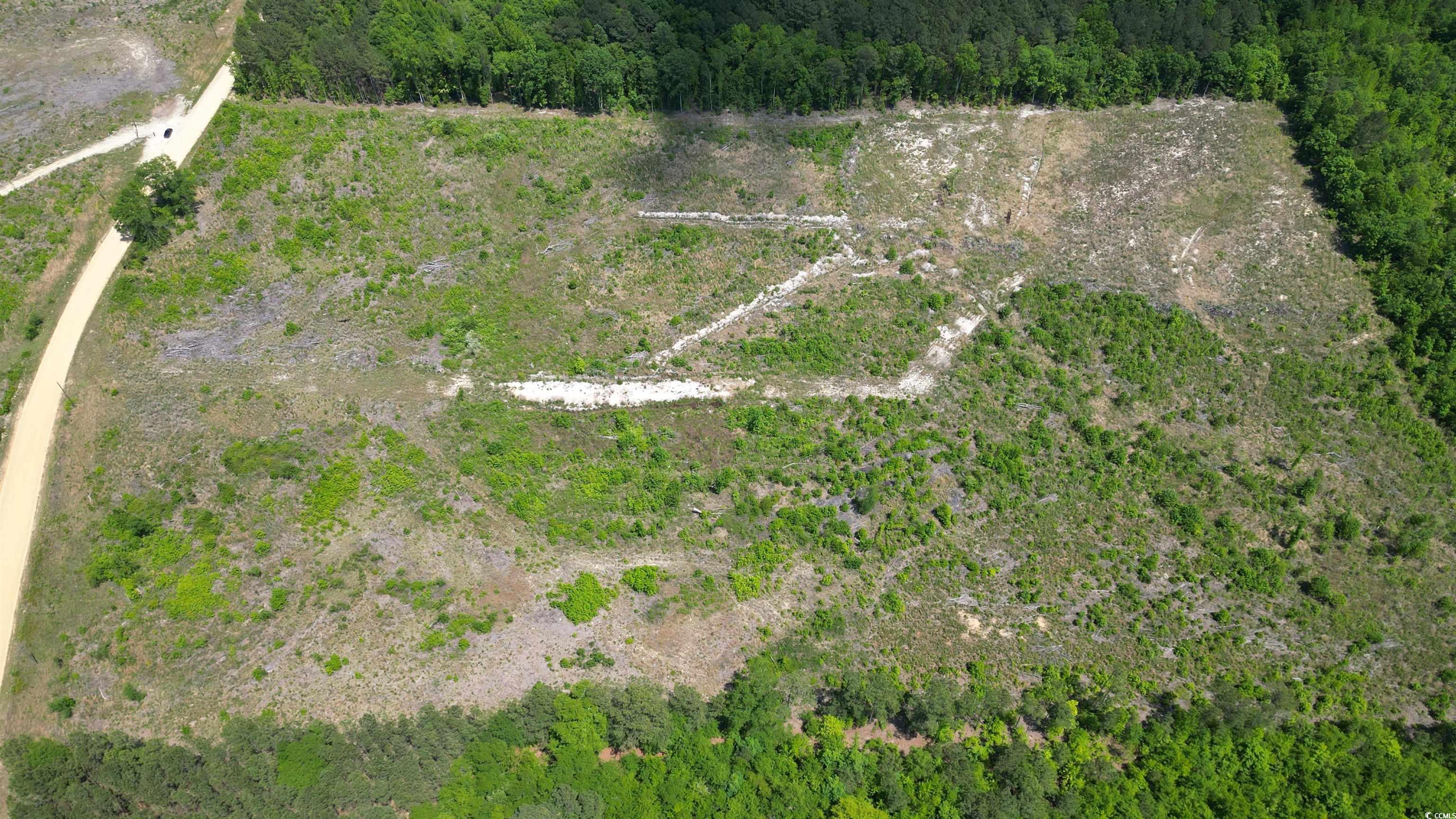 Tbd Bully Road Chesterfield, SC 29709 - Photo 4 of 12 Aerial view with a wooded view