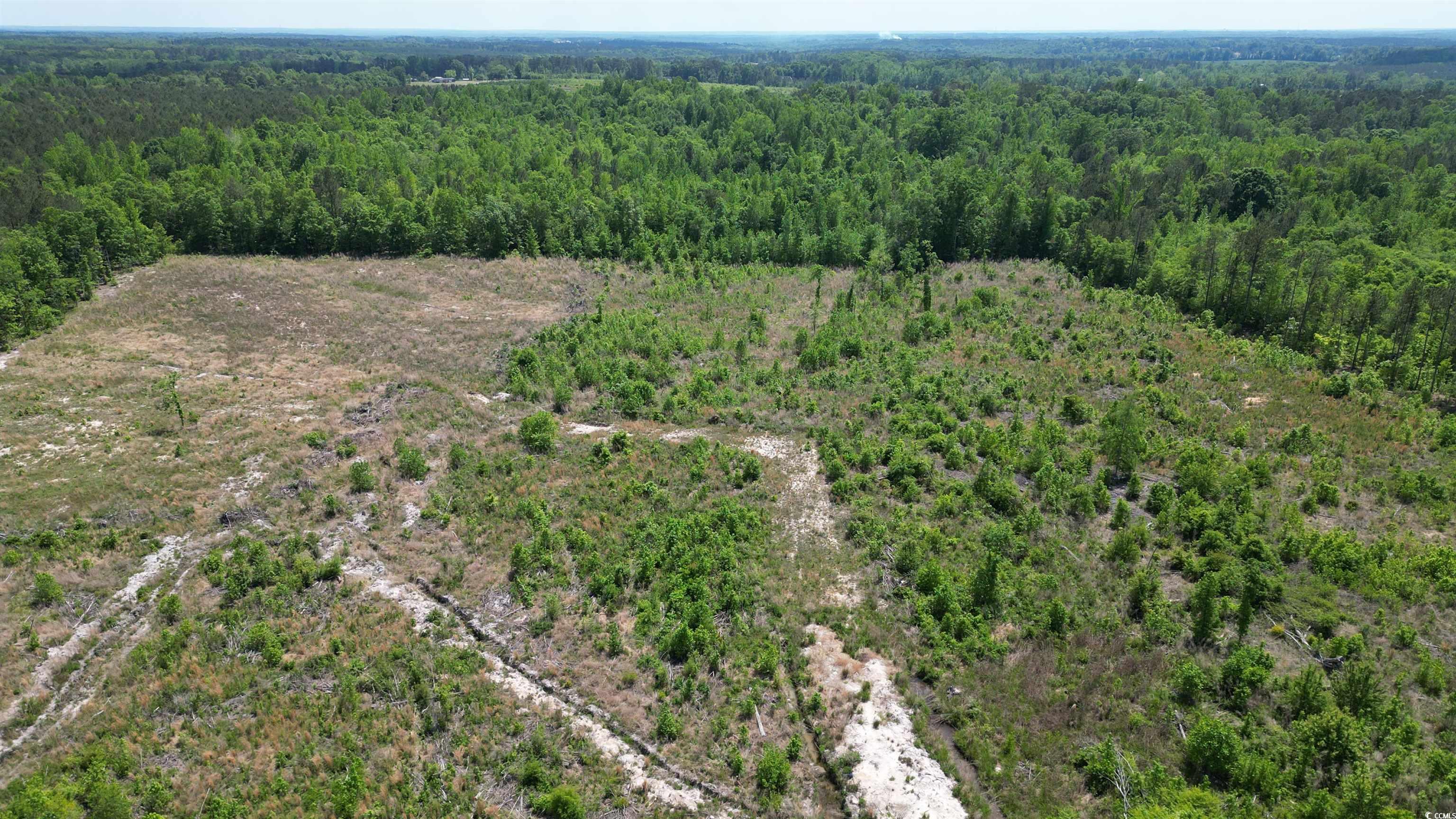 Tbd Bully Road Chesterfield, SC 29709 - Photo 5 of 12 Drone / aerial view featuring a forest view