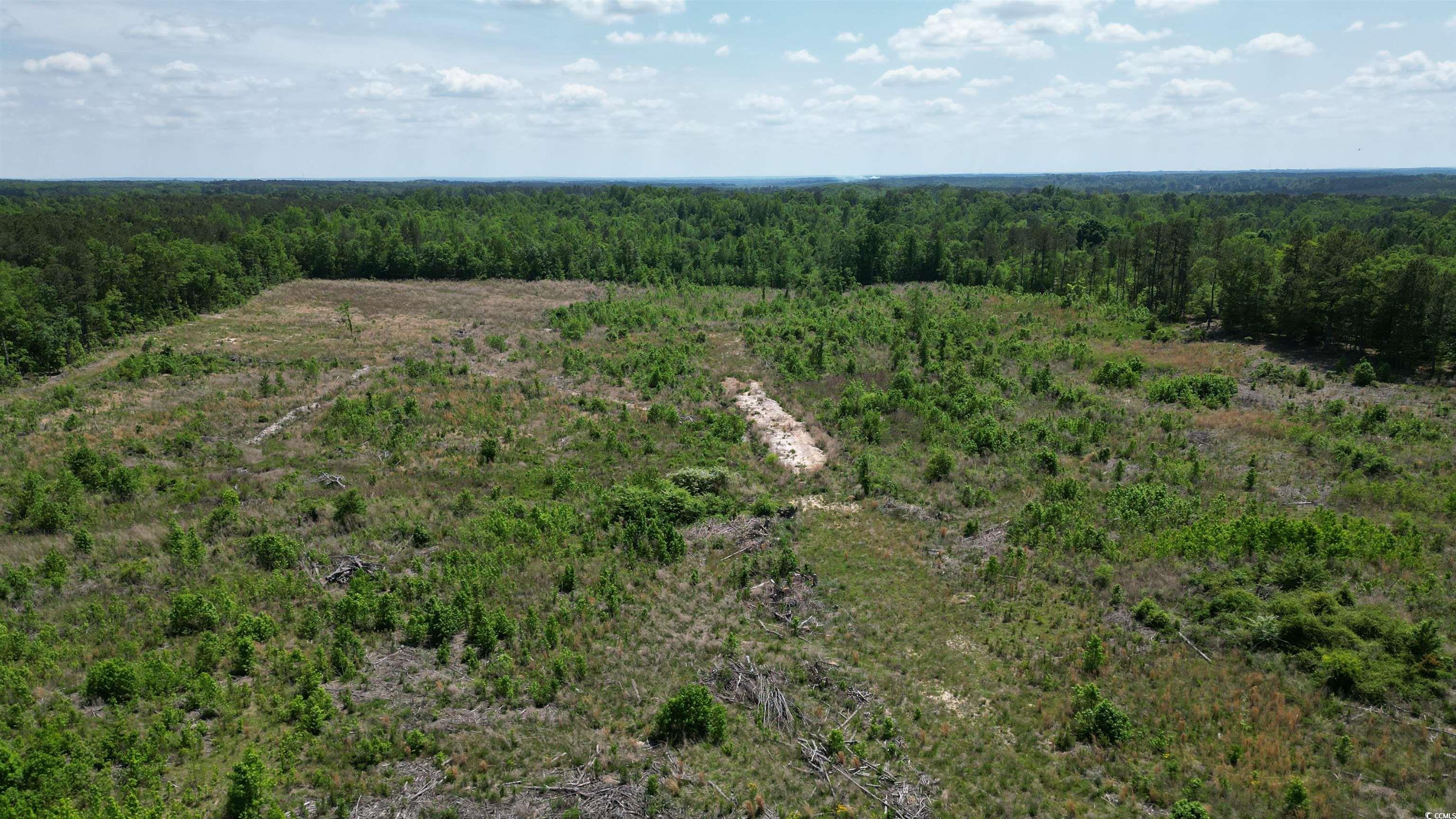 Tbd Bully Road Chesterfield, SC 29709 - Photo 6 of 12 Birds eye view of property featuring a forest view