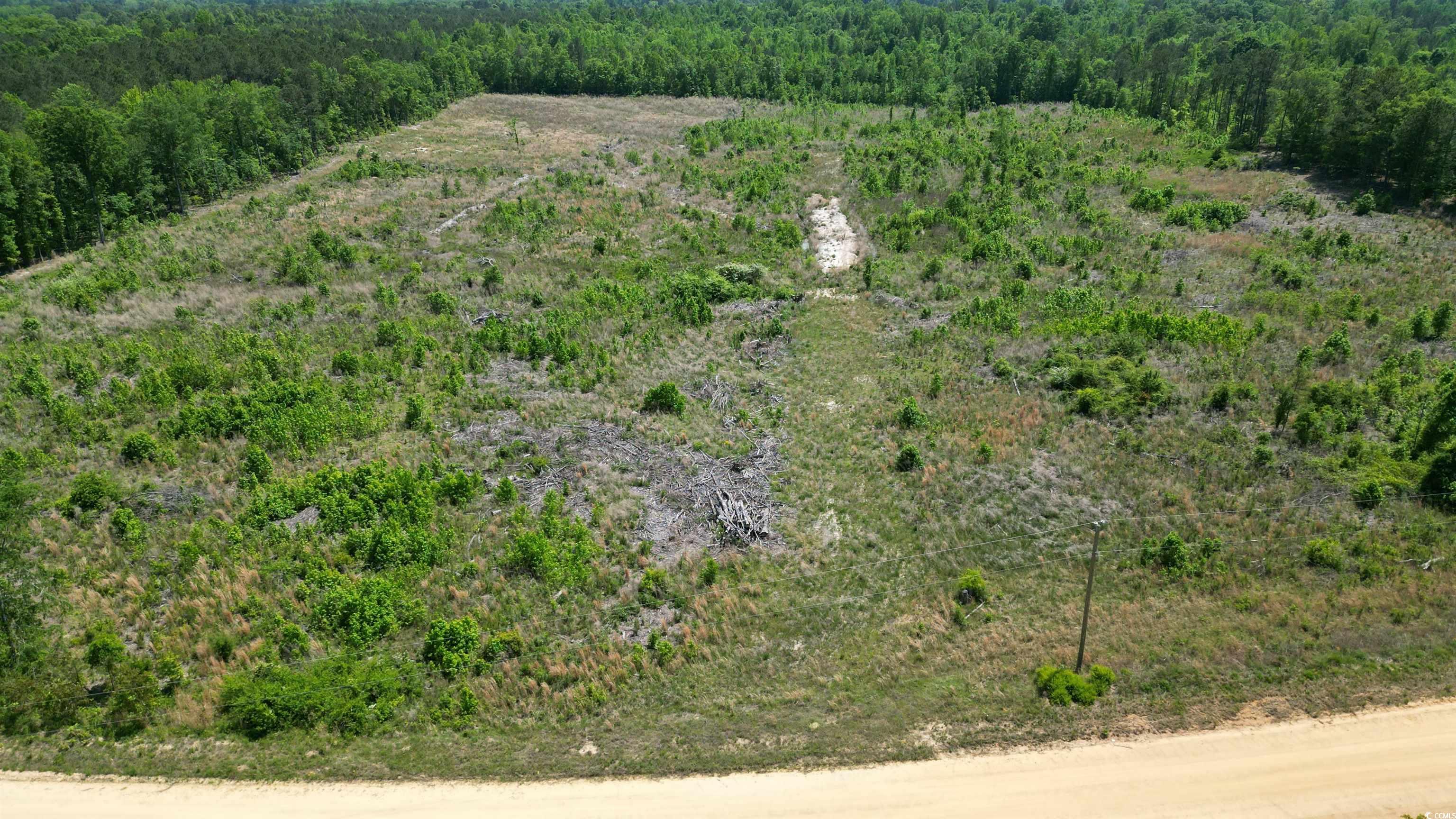 Tbd Bully Road Chesterfield, SC 29709 - Photo 7 of 12 Aerial view featuring a view of trees