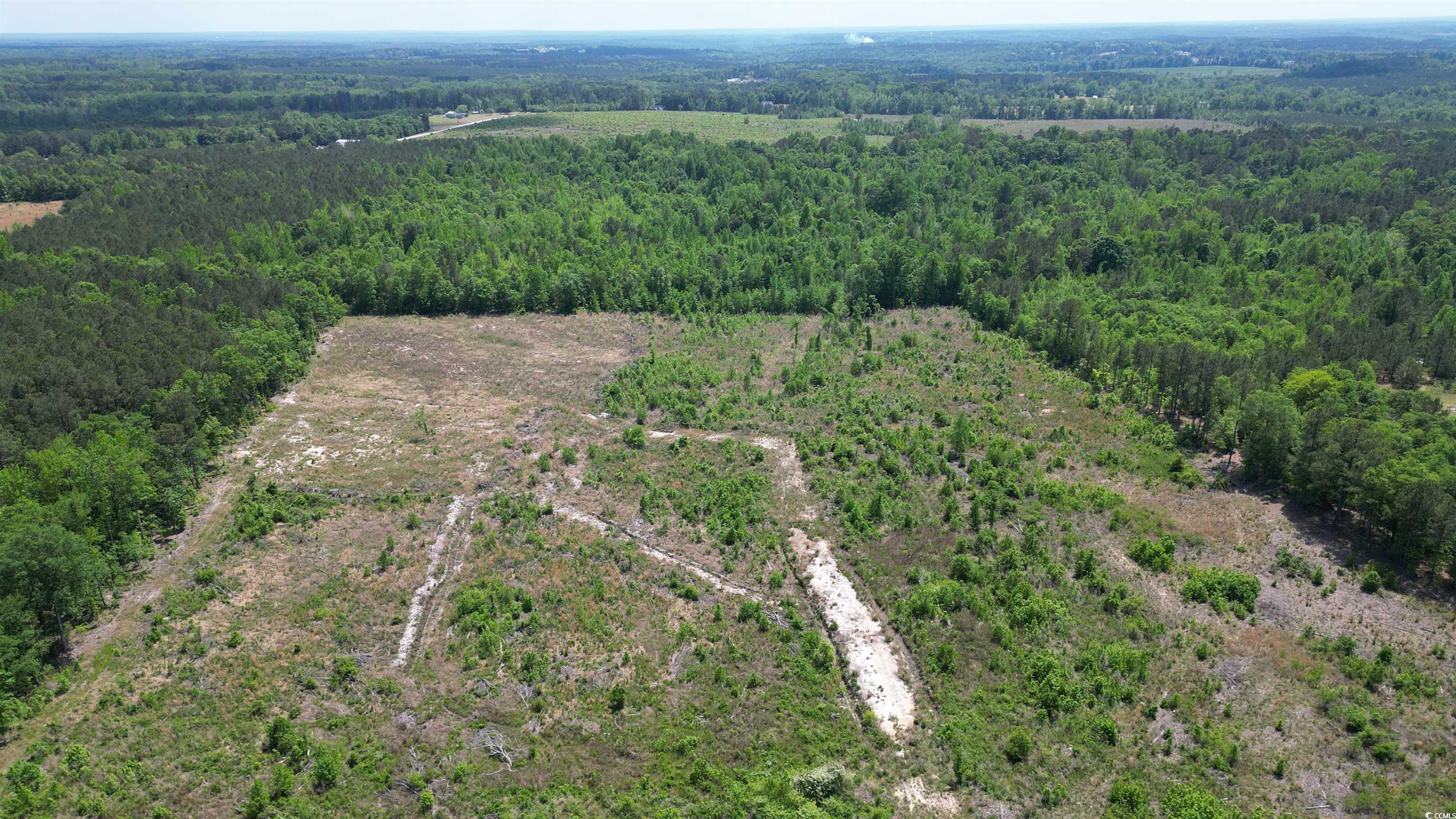 Tbd Bully Road Chesterfield, SC 29709 - Photo 8 of 12 Birds eye view of property with a wooded view