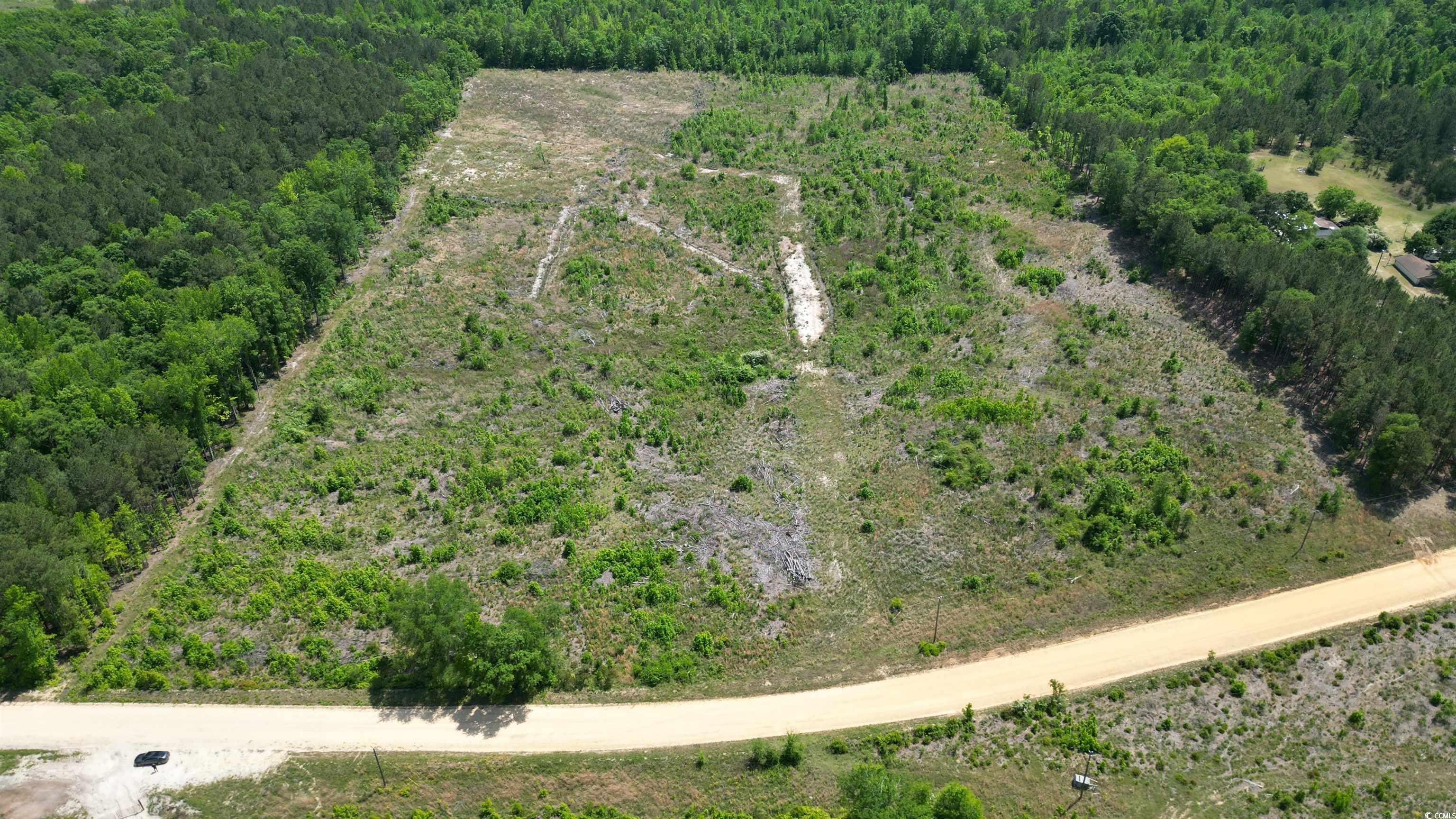 Tbd Bully Road Chesterfield, SC 29709 - Photo 9 of 12 Drone / aerial view featuring a forest view