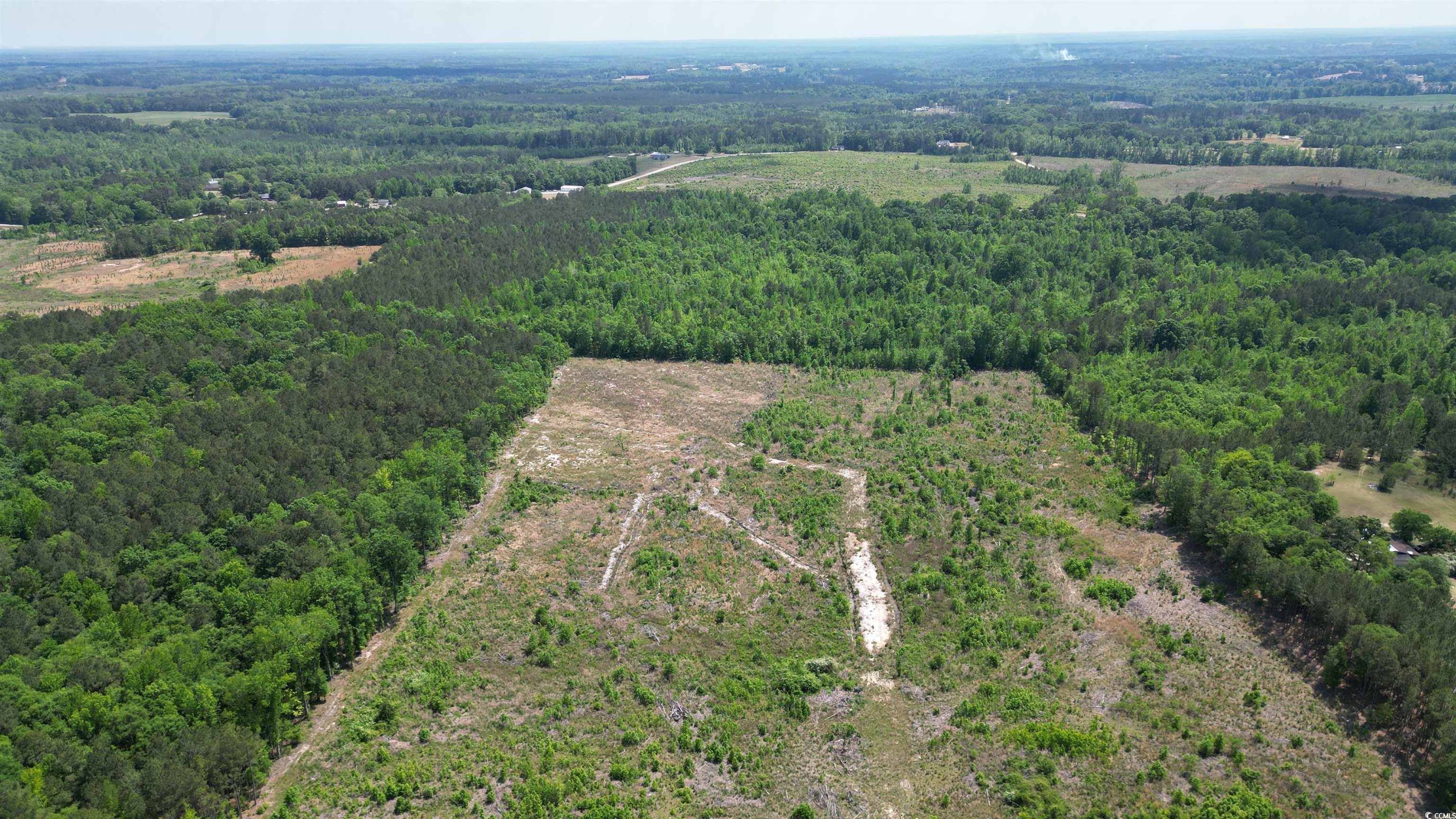 Tbd Bully Road Chesterfield, SC 29709 - Photo 10 of 12 Aerial view with a forest view