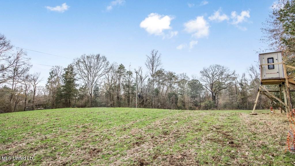 708 East Wayside Road Woodville, MS 39669 - Photo 15 of 45 getimageonline (17)