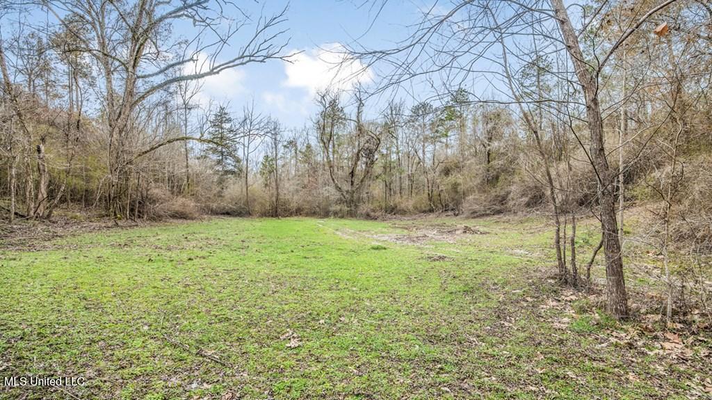 708 East Wayside Road Woodville, MS 39669 - Photo 16 of 45 getimageonline (18)