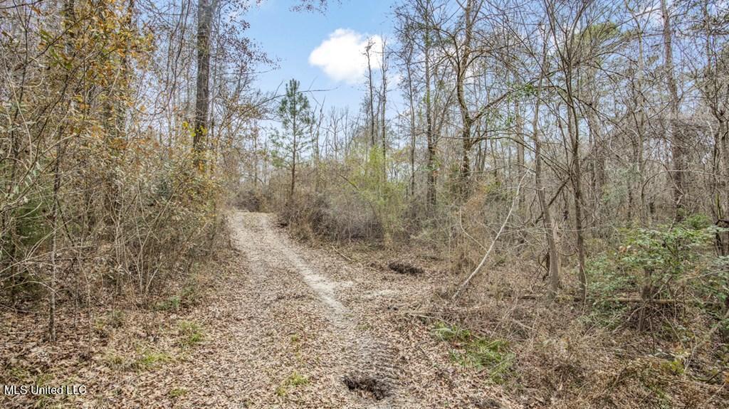 708 East Wayside Road Woodville, MS 39669 - Photo 17 of 45 getimageonline (19)