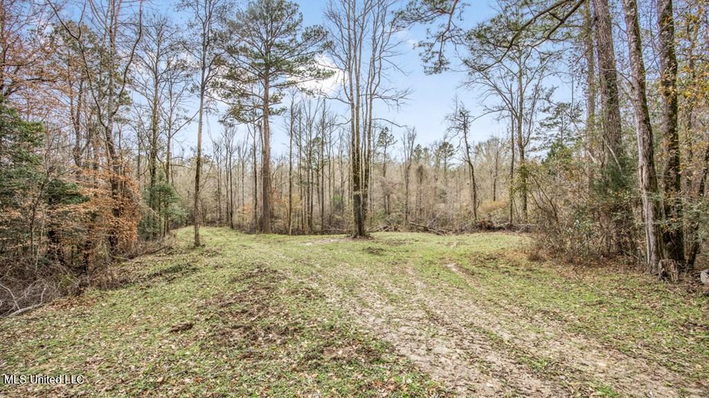 708 East Wayside Road Woodville, MS 39669 - Photo 18 of 45 getimageonline (20)