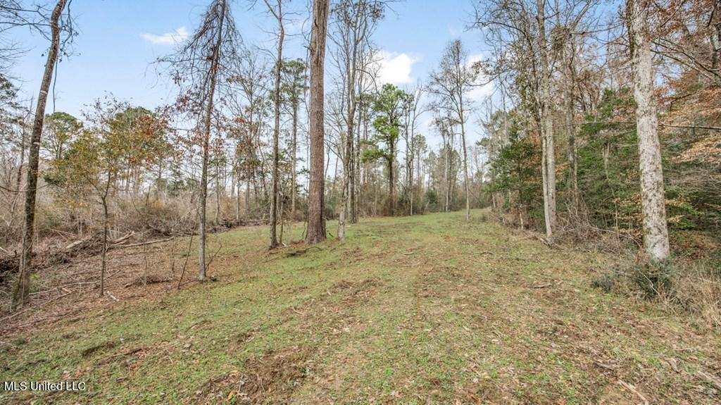 708 East Wayside Road Woodville, MS 39669 - Photo 19 of 45 getimageonline (21)