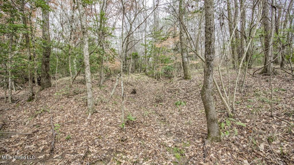 708 East Wayside Road Woodville, MS 39669 - Photo 20 of 45 getimageonline (22)