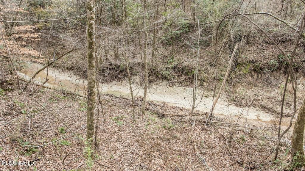 708 East Wayside Road Woodville, MS 39669 - Photo 21 of 45 getimageonline (23)