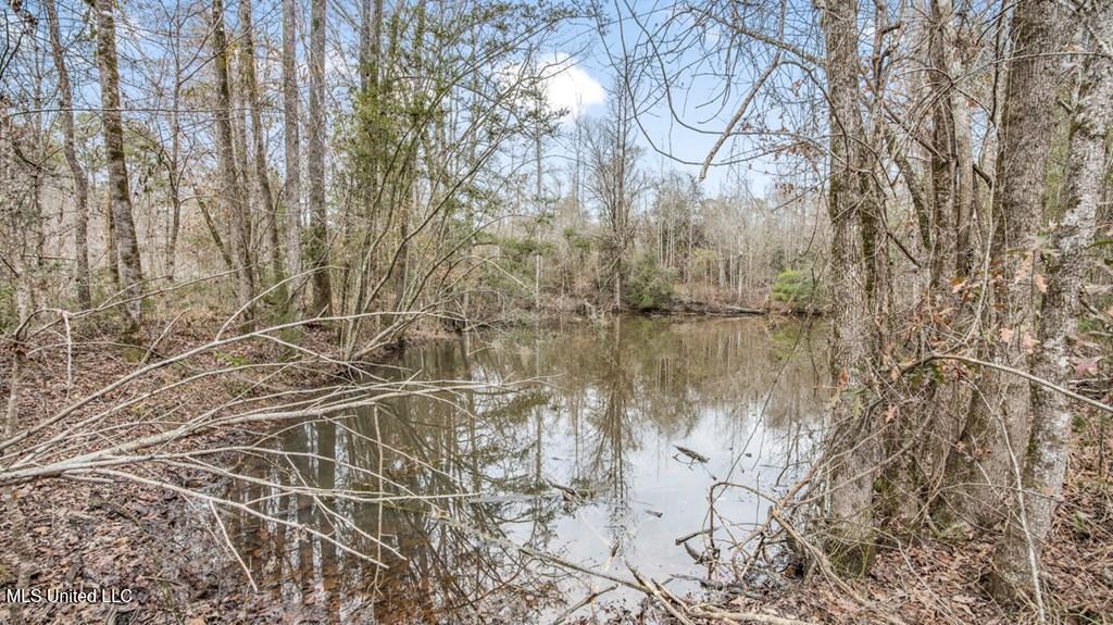 708 East Wayside Road Woodville, MS 39669 - Photo 22 of 45 getimageonline (24)