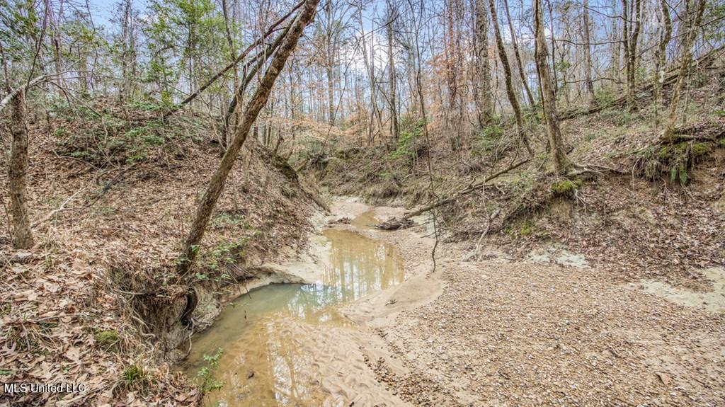 708 East Wayside Road Woodville, MS 39669 - Photo 23 of 45 getimageonline (25)