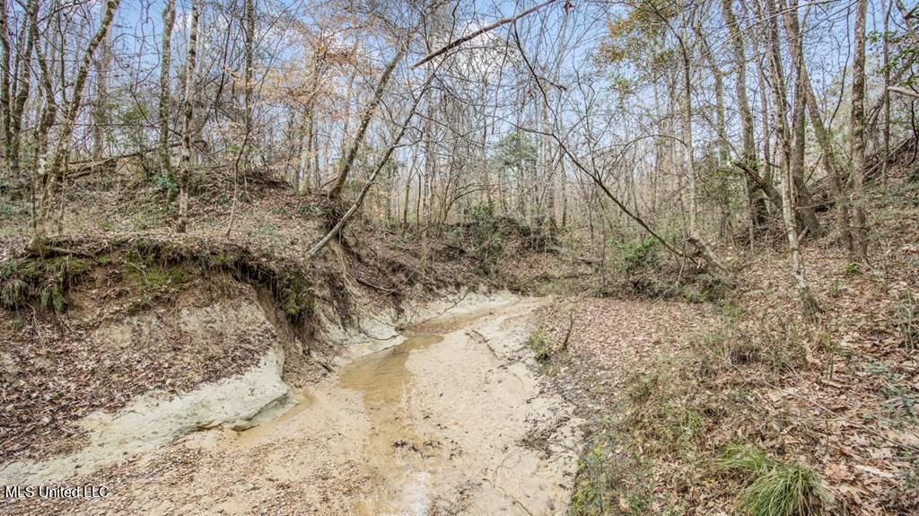 708 East Wayside Road Woodville, MS 39669 - Photo 24 of 45 getimageonline (26)