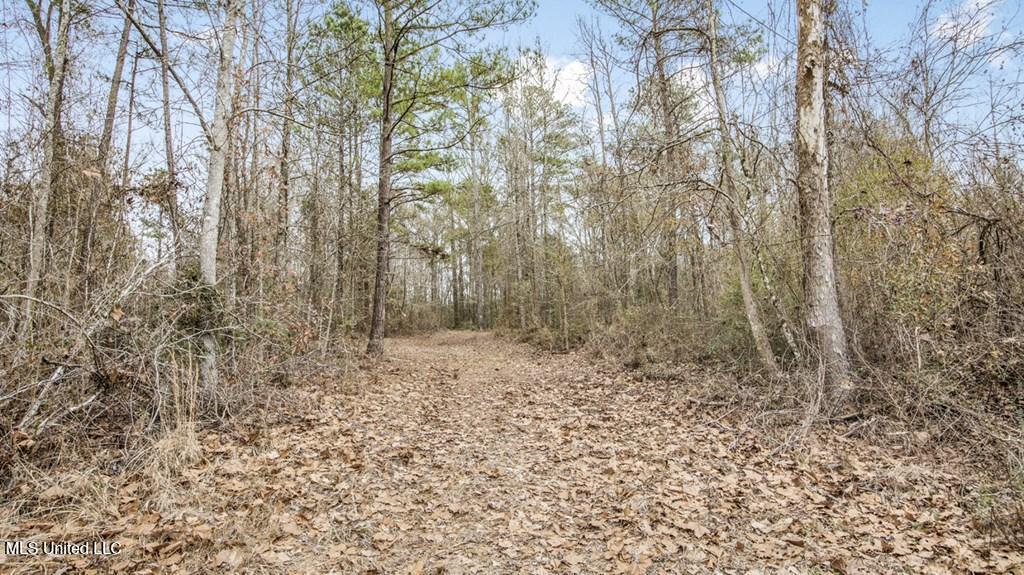 708 East Wayside Road Woodville, MS 39669 - Photo 25 of 45 getimageonline (27)