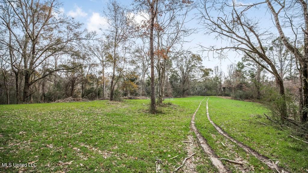 708 East Wayside Road Woodville, MS 39669 - Photo 26 of 45 getimageonline (28)