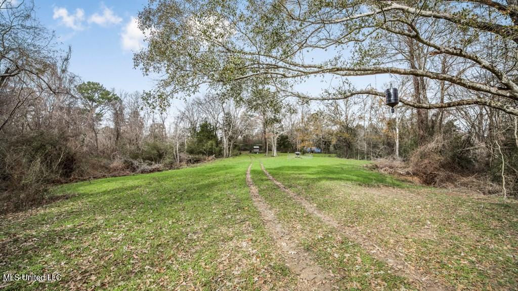 708 East Wayside Road Woodville, MS 39669 - Photo 28 of 45 getimageonline (30)