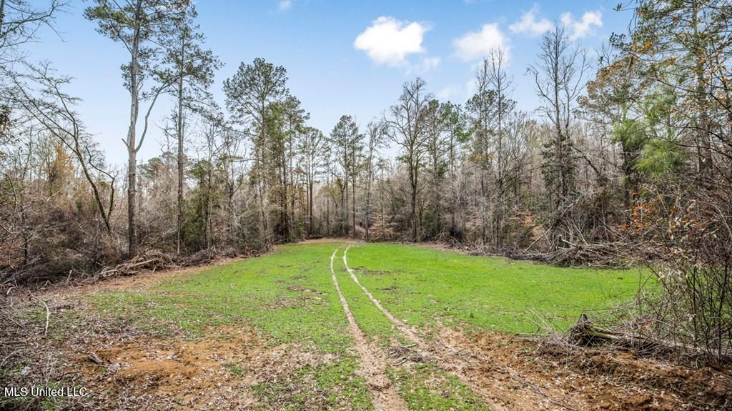 708 East Wayside Road Woodville, MS 39669 - Photo 29 of 45 getimageonline (31)