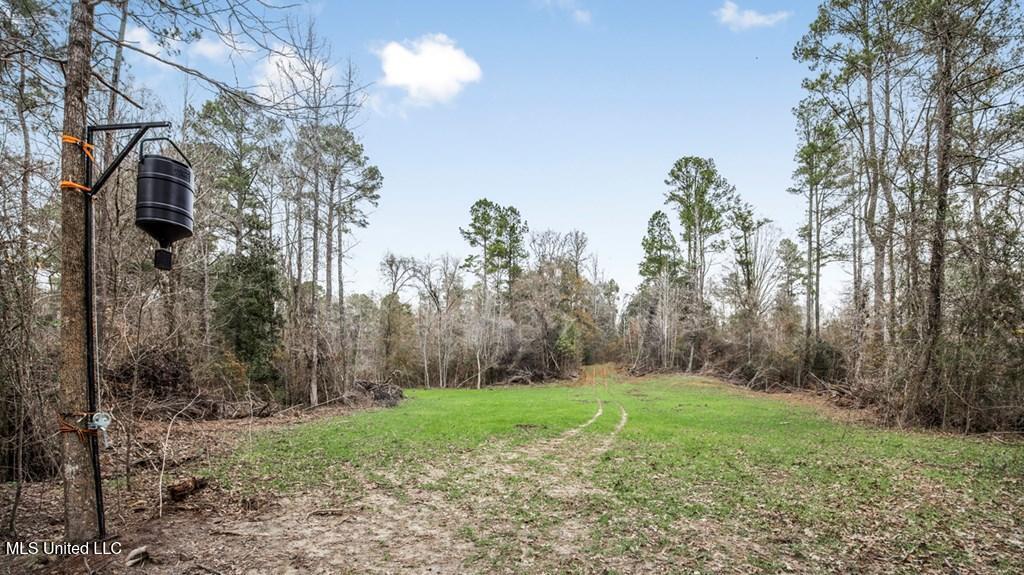 708 East Wayside Road Woodville, MS 39669 - Photo 30 of 45 getimageonline (32)