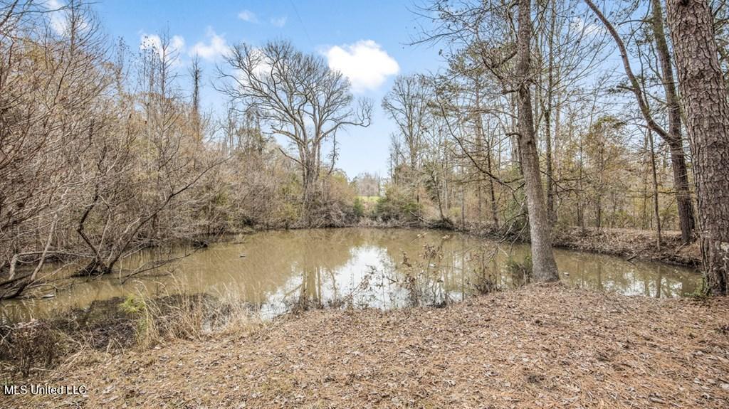 708 East Wayside Road Woodville, MS 39669 - Photo 3 of 45 getimageonline (2)