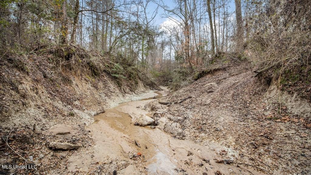 708 East Wayside Road Woodville, MS 39669 - Photo 31 of 45 getimageonline (33)