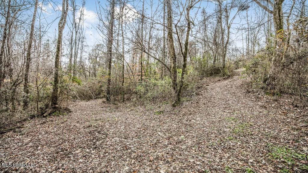 708 East Wayside Road Woodville, MS 39669 - Photo 32 of 45 getimageonline (34)