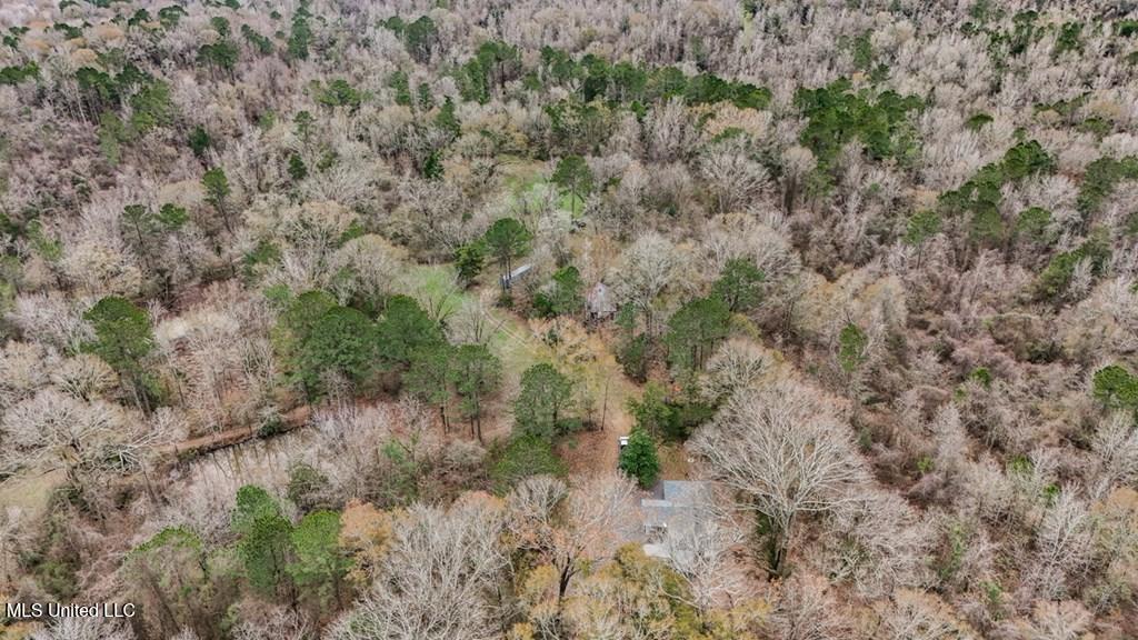708 East Wayside Road Woodville, MS 39669 - Photo 34 of 45 getimageonline (37)