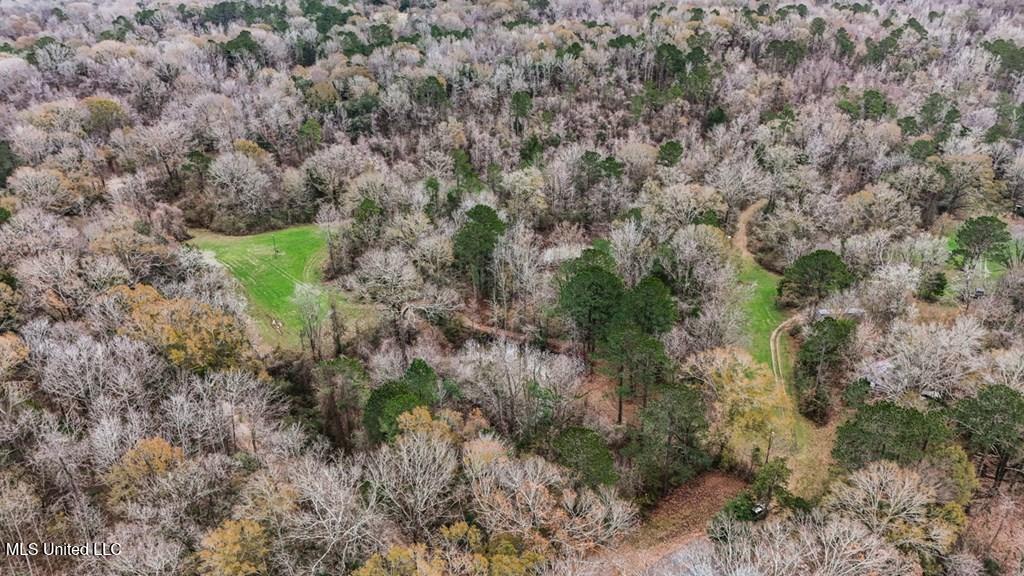 708 East Wayside Road Woodville, MS 39669 - Photo 35 of 45 getimageonline (38)