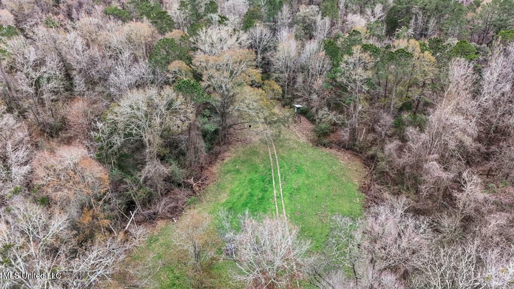 708 East Wayside Road Woodville, MS 39669 - Photo 36 of 45 getimageonline (39)