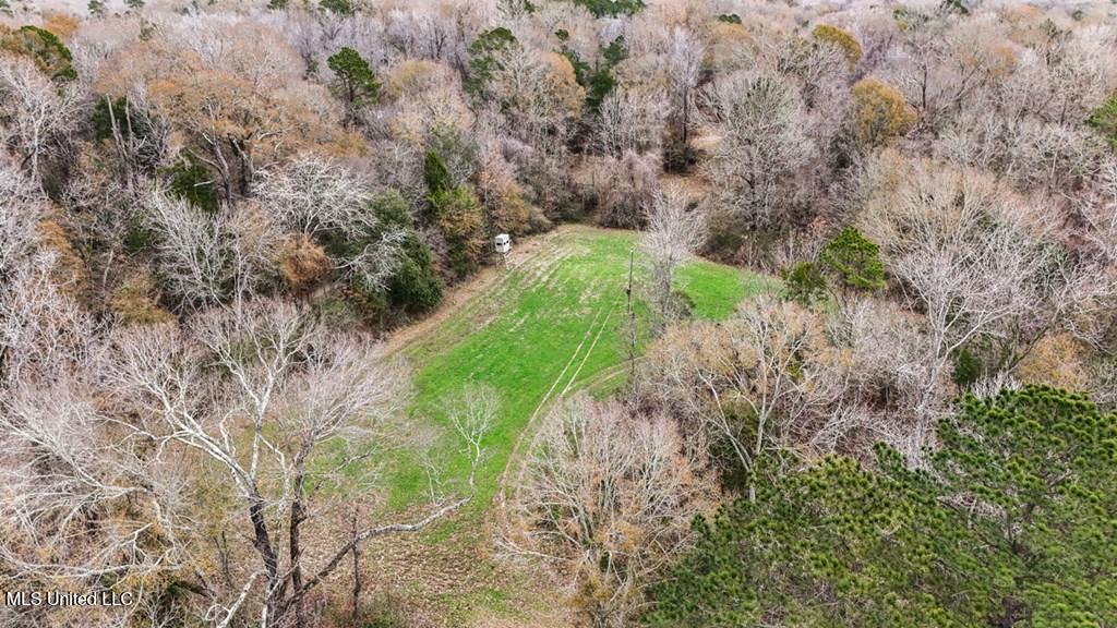 708 East Wayside Road Woodville, MS 39669 - Photo 37 of 45 getimageonline (40)