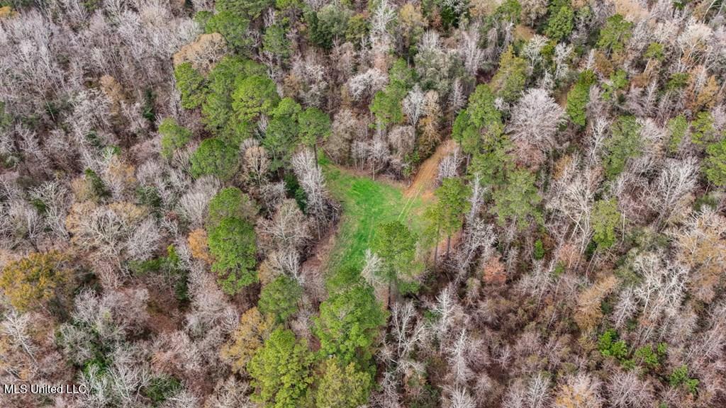 708 East Wayside Road Woodville, MS 39669 - Photo 38 of 45 getimageonline (41)