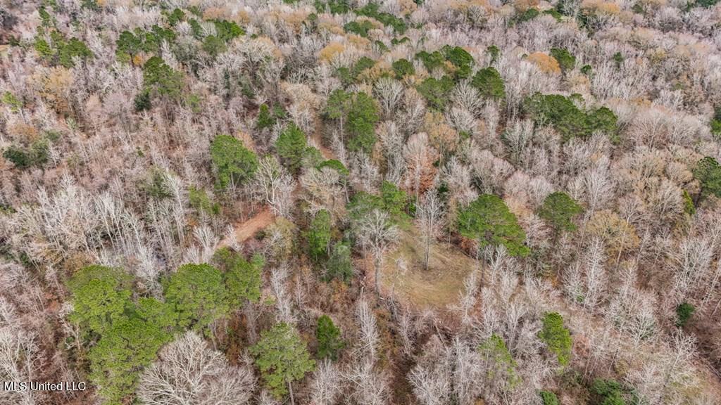 708 East Wayside Road Woodville, MS 39669 - Photo 39 of 45 getimageonline (42)