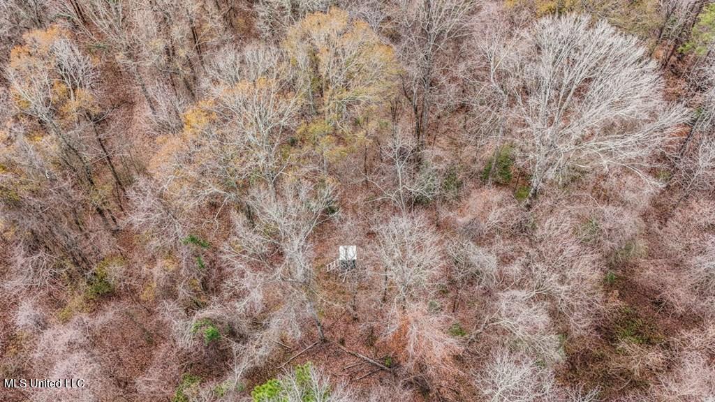 708 East Wayside Road Woodville, MS 39669 - Photo 40 of 45 getimageonline (43)