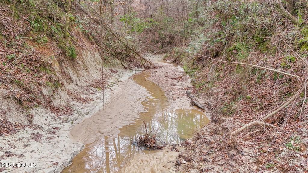 708 East Wayside Road Woodville, MS 39669 - Photo 41 of 45 getimageonline (44)
