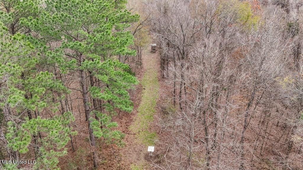 708 East Wayside Road Woodville, MS 39669 - Photo 42 of 45 getimageonline (45)