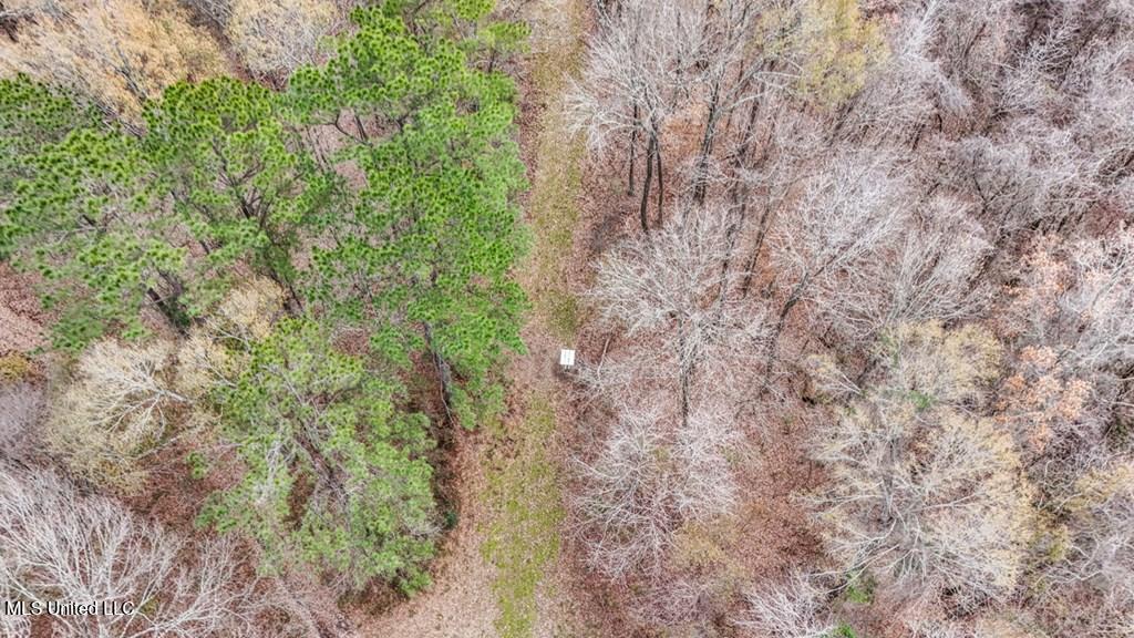 708 East Wayside Road Woodville, MS 39669 - Photo 43 of 45 getimageonline (46)