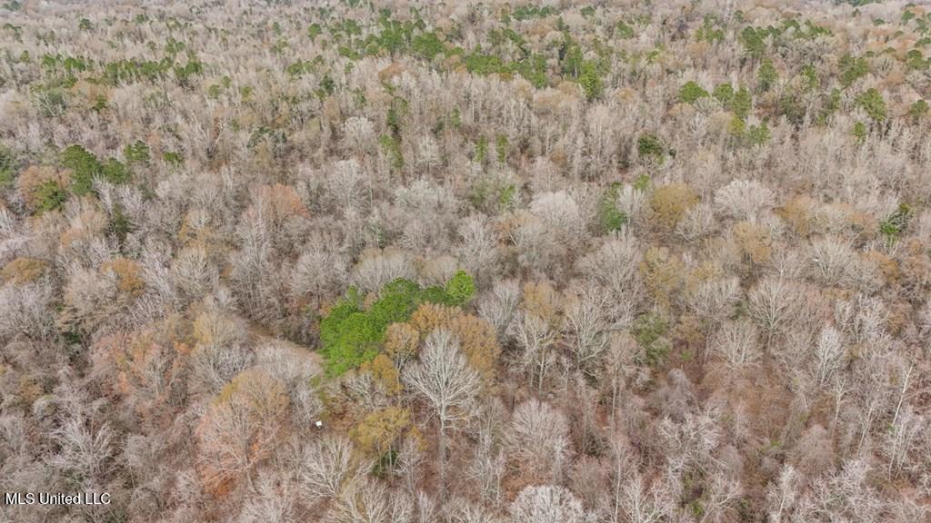 708 East Wayside Road Woodville, MS 39669 - Photo 44 of 45 getimageonline (47)
