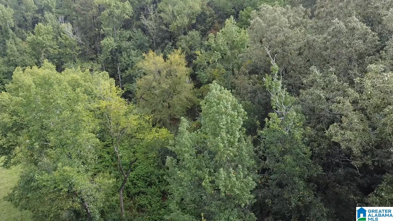 58 Rustic Oaks Drive Sterrett, AL 35147 - Photo 9 of 30
