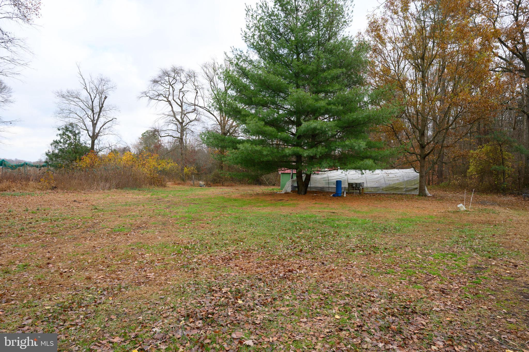 24029 Meadows Drive Ridgely, MD 21660 - Photo 39 of 39 a view of outdoor space with garden and trees