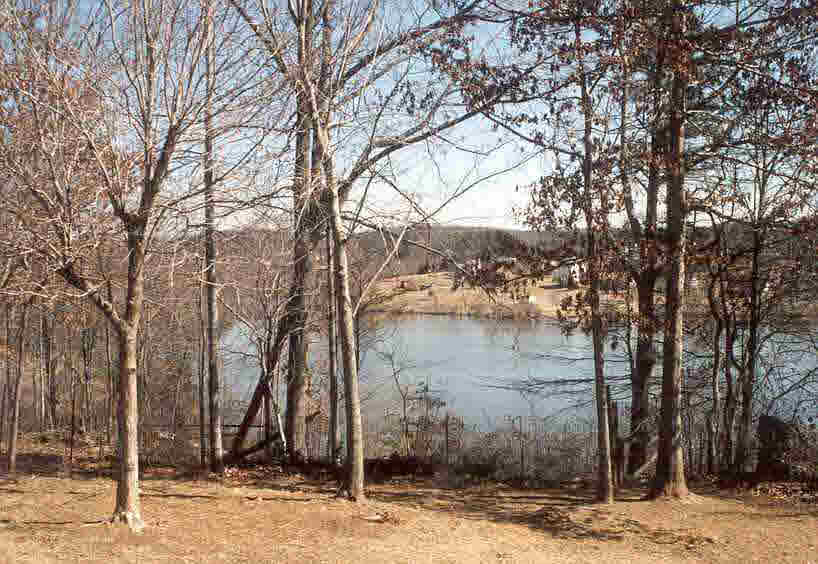112 West Daffodil Road Ruckersville, VA 22968 - Photo 1 of 1 a backyard of a house with lots of green space